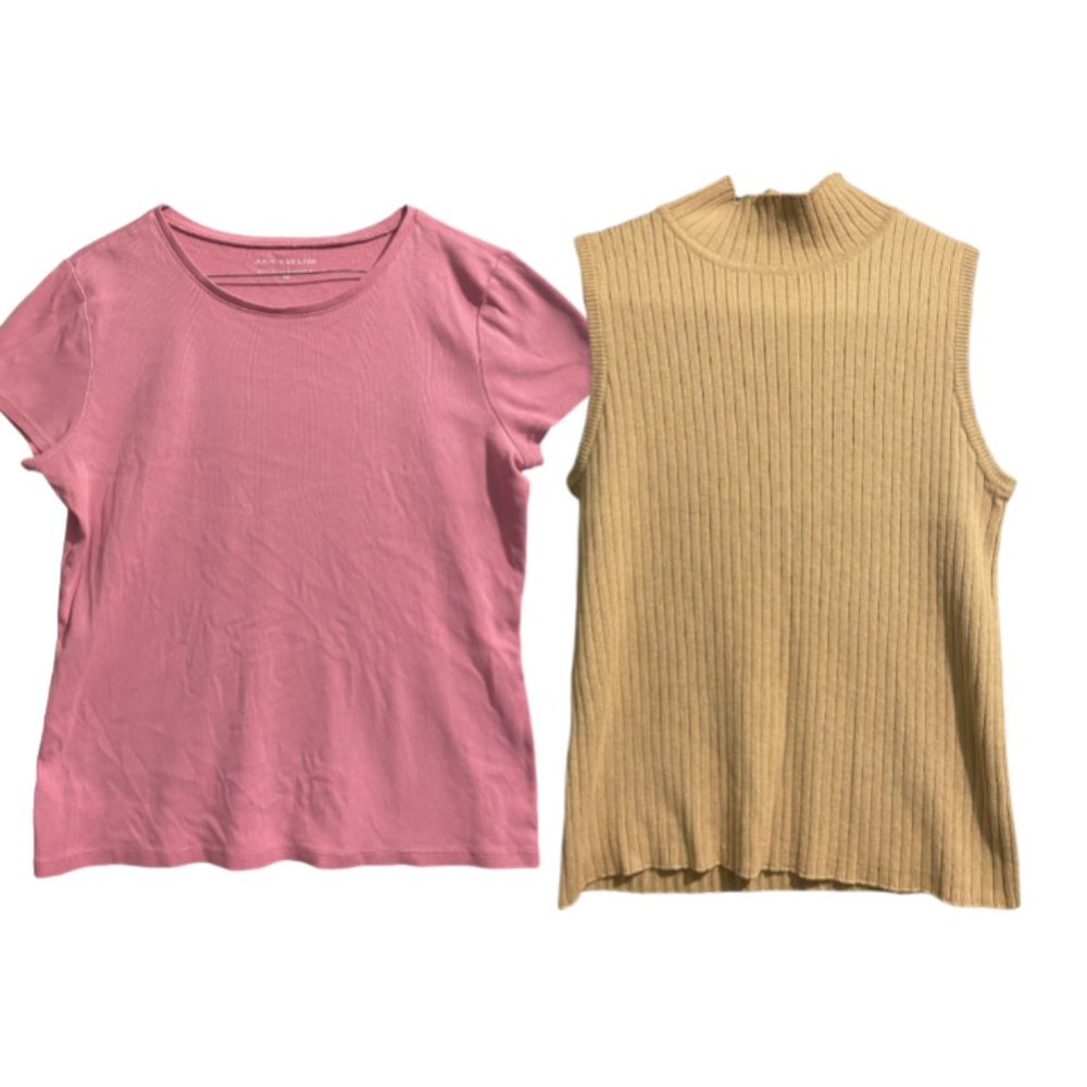 Bundle of 2 Tops Chadwick Ann Taylor Size M Tan Pink Knit Cotton